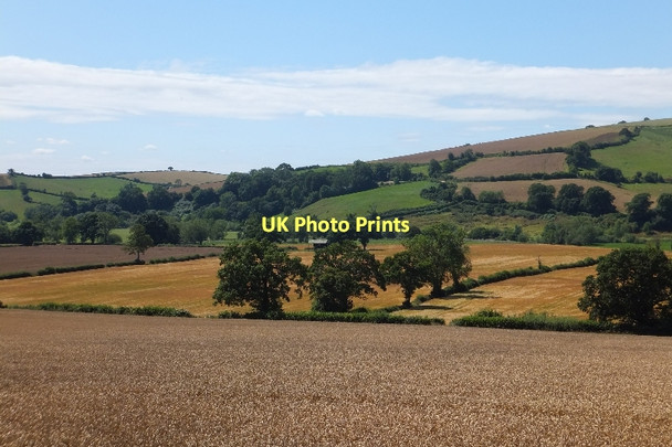 Photo 6"x4" Fields south of Chitterley Chitterley c2011