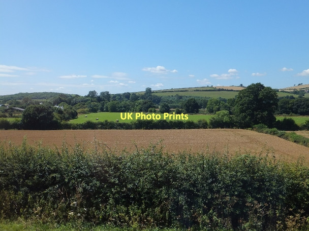 Photo 6"x4" Fields north of Upexe Farm Up Exe c2011