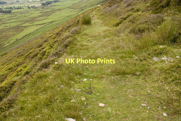 Photo 6"x4" Footpath from Hazelhurst to Fiendsdale Head Bleasdale c2011