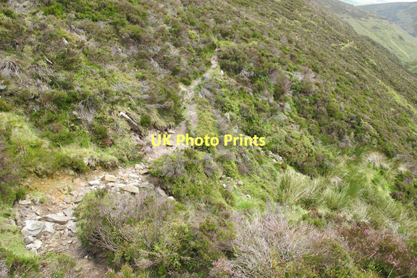 Photo 6"x4" Hillside track in Fiendsdale Fiendsdale c2011