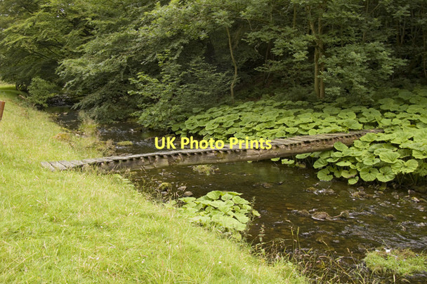 Photo 6"x4" Footbridge across Winterburn Beck Winterburn c2011