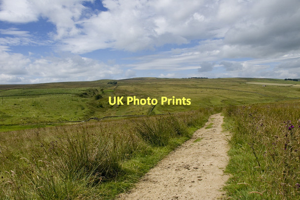 Photo 6"x4" Bridleway from Hetton to malham Fleets c2011