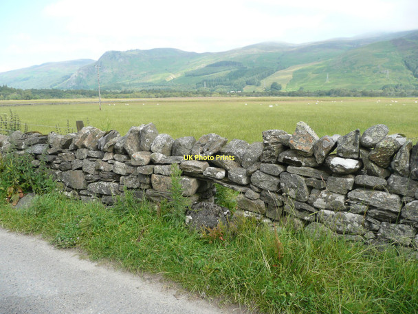 Photo 6"x4" Sheep hole in dry stone wall Kinloch Rannoch c2011