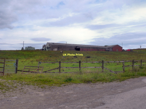 Photo 6"x4" Whitfield Farm Shaw\/SD9308 c2011