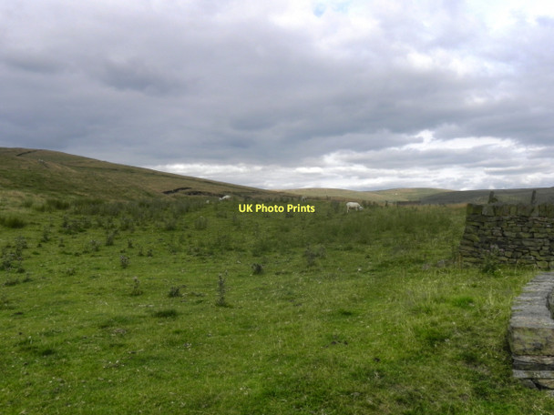 Photo 6"x4" Turf Hill Rough Bank\/SD9412 c2011