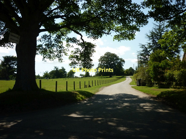 Photo 6"x4" The road to Newby Wiske at Nook Cottage Warlaby c2011
