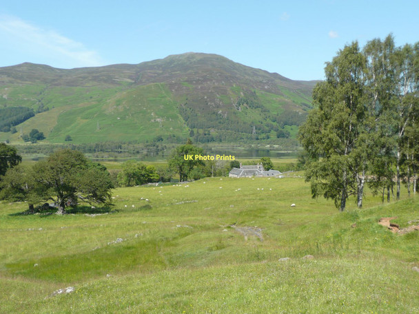 Photo 6"x4" Sheep graze above East Tempar Dunalastair c2011