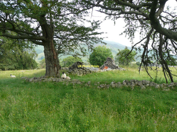 Photo 6"x4" Curious sheep beside derelict steading Dunalastair c2011
