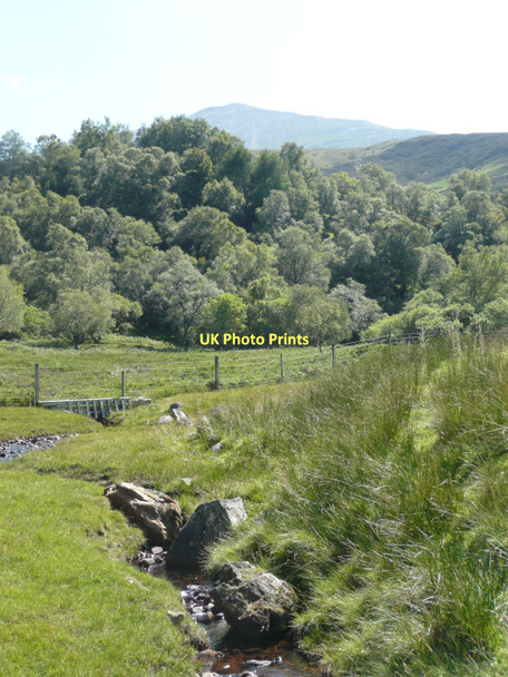 Photo 6"x4" Burn beside the road Dunalastair c2011