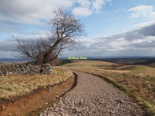Photo 6"x4" New track at Strath-head Waterloo\/NO0536 c2011
