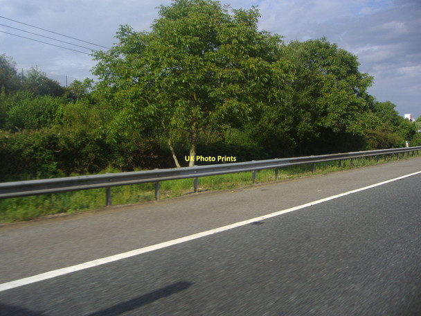 Photo 6"x4" Verge by the M40, High Wycombe Cressex c2011