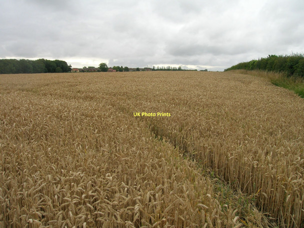 Photo 6"x4" Farmland off Brigg Road Barton-Upon-Humber c2011