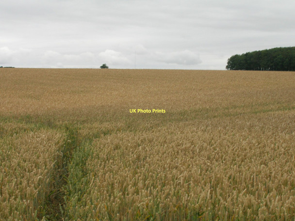 Photo 6"x4" Farmland near White Hart Farm Horkstow Wolds c2011