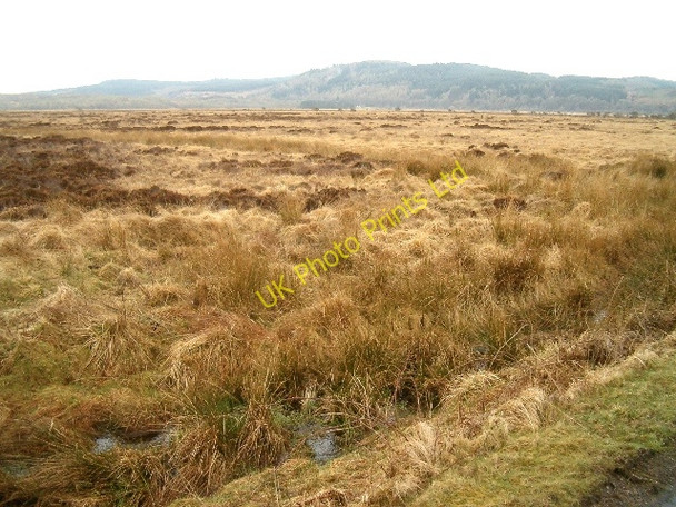 Photo 6"x4" Moine Mhor - looking south towards Knapdale Bellanoch c2006
