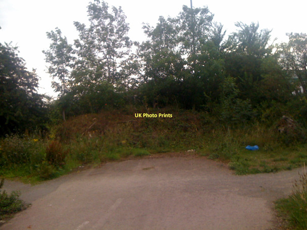 Photo 6"x4" Weekley Wood Lane Rushton\/SP8482 c2011
