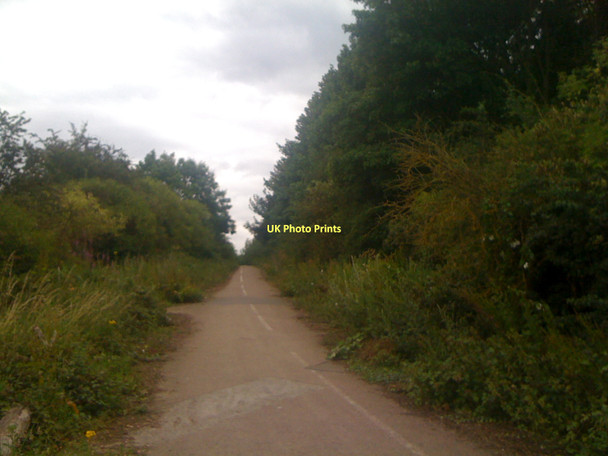 Photo 6"x4" Weekley Wood Lane Rushton\/SP8482 c2011 P1
