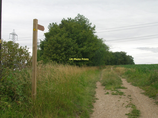 Photo 6"x4" Footpath towards South Ferriby Horkstow c2011