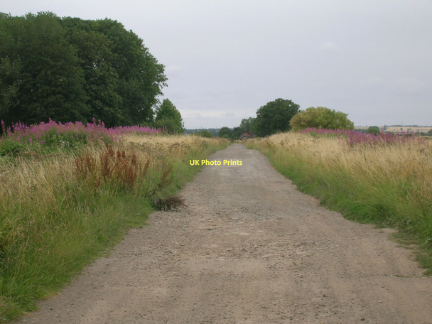 Photo 6"x4" North Carr Lane heading west Saxby All Saints c2011