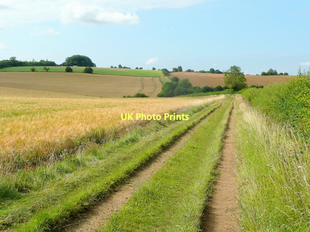 Photo 6"x4" Cotswold footpath Arlington\/SP1006 c2011