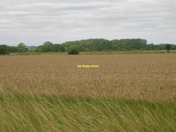 Photo 6"x4" Farmland off Carr Lane Bonby c2011