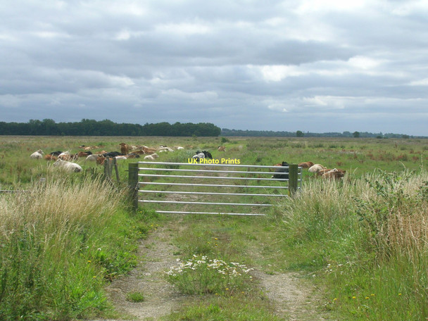 Photo 6"x4" Farm track off Carr Lane Worlaby\/TA0113 c2011