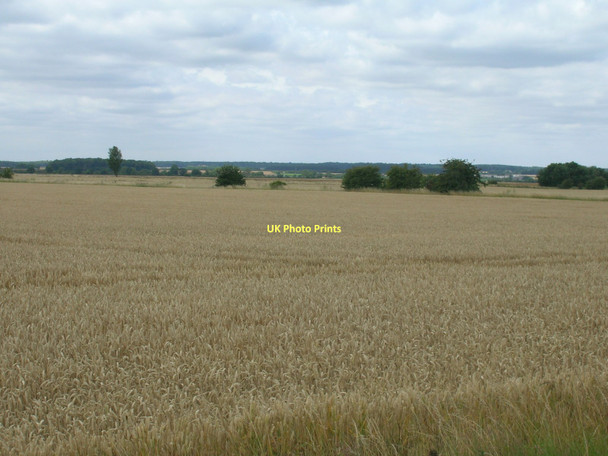 Photo 6"x4" Farmland, Wrawby Carrs Brigg c2011