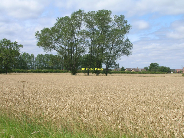 Photo 6"x4" Farmland near Brigg Brigg c2011