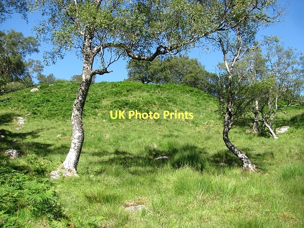 Photo 6"x4" Dubh Choille Duchally Lodge c2011 P1
