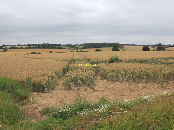 Photo 6"x4" Chiltern Way Ansells End c2011