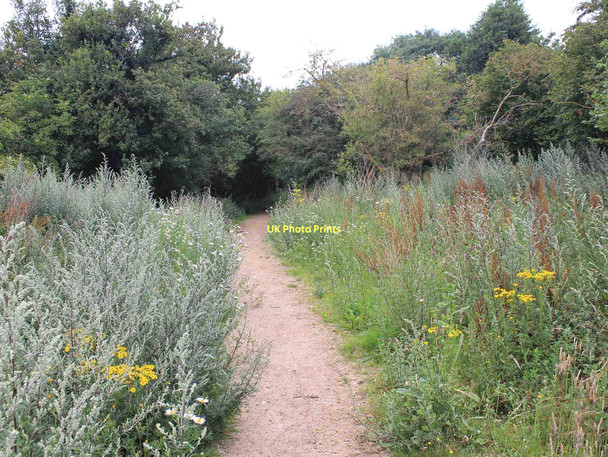 Photo 6"x4" Public Restricted Byway to Bishley Wood Ansells End c2011