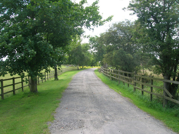Photo 6"x4" Track to Pingley Farm Brigg c2011