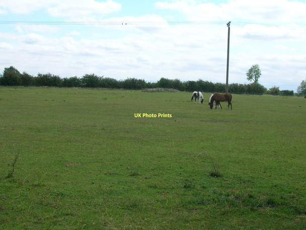 Photo 6"x4" Grazing land, Pingley Farm Brigg c2011