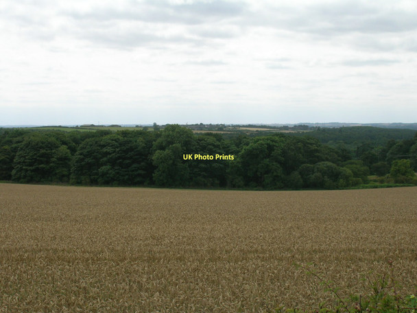 Photo 6"x4" Farmland towards Smith's Piece Elsham c2011
