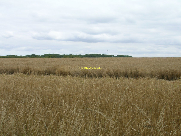 Photo 6"x4" Farmland near Elsham Elsham c2011