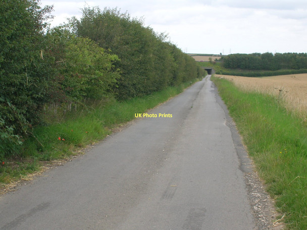 Photo 6"x4" Minor road towards Thornton Curtis Burnham\/TA0517 c2011