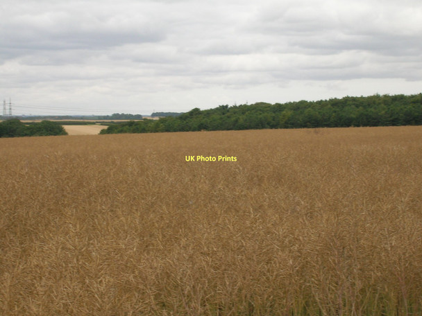 Photo 6"x4" Farmland off the B1206 Burnham\/TA0517 c2011