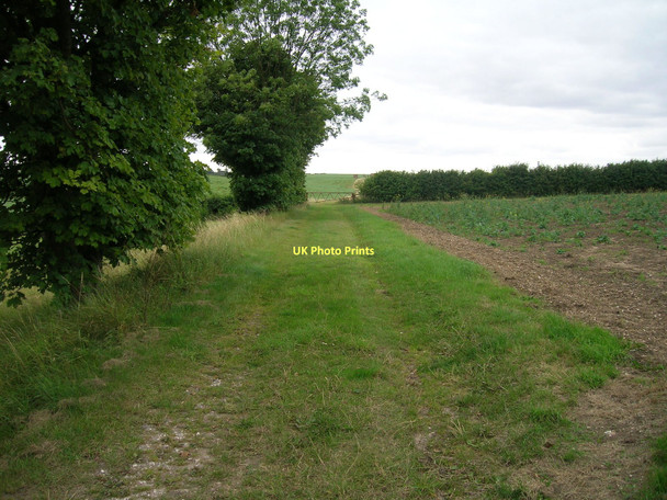 Photo 6"x4" Farm track off the B1218 Bonby c2011