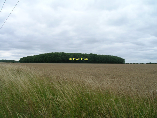 Photo 6"x4" Fox Covert Plantation Bonby c2011