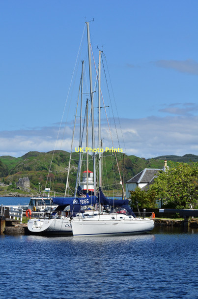 Photo 6"x4" Yachts in Crinan basin Crinan c2011