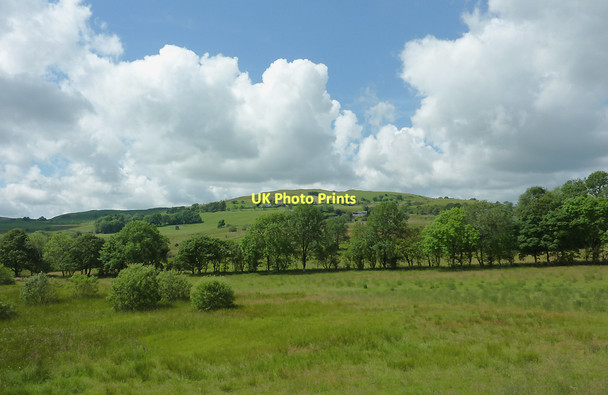 Photo 6"x4" Rough grazing south of Devil's Bridge, Ceredigion Devil's Bridge\/Pontarfynach c2011