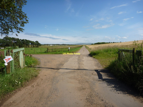 Photo 6"x4" Rural East Lothian : The Gateway and Track To Scoughall Links Whitekirk c2011