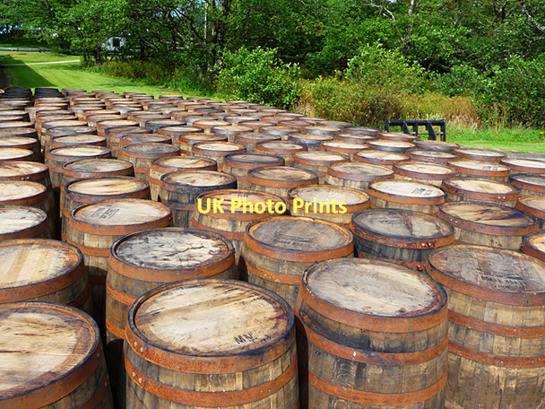Photo 6"x4" Bourbon casks at Laphroaig Laphroaig c2011