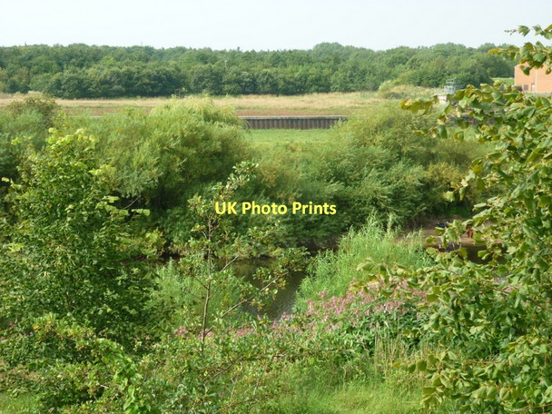 Photo 6"x4" The view over the River Ouse at Benningbrough Beningbrough c2011
