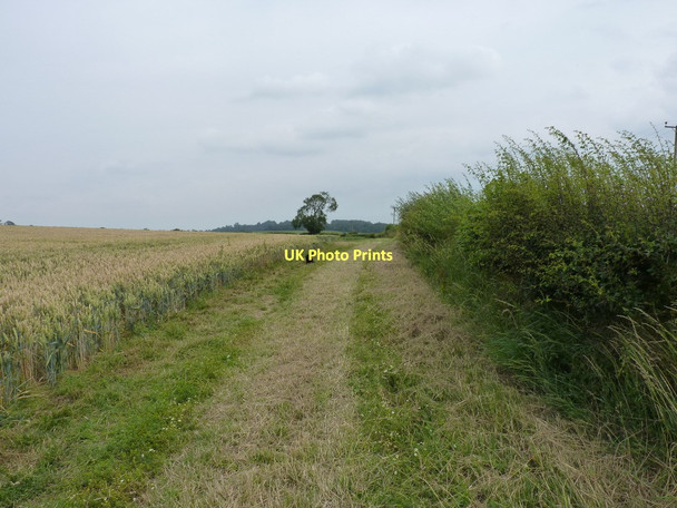 Photo 6"x4" Footpath towards Plaish Gretton\/SO5195 c2011