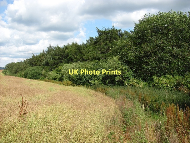 Photo 6"x4" Stocking Nursery Lady Halton c2011