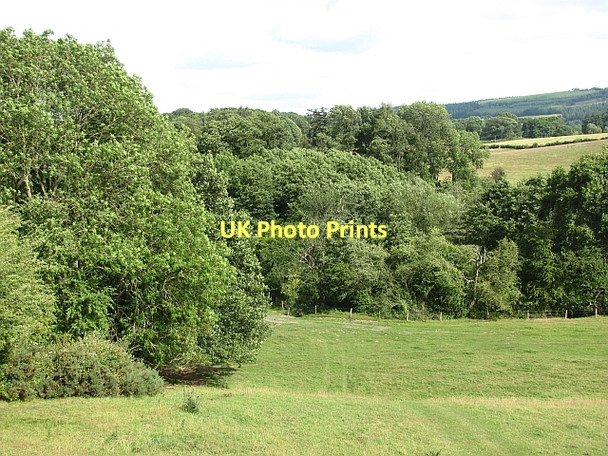 Photo 6"x4" Field and Teme Lady Halton c2011