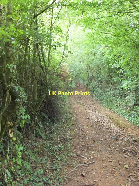 Photo 6"x4" Blind Lane, Aylesbeare Aylesbeare c2011