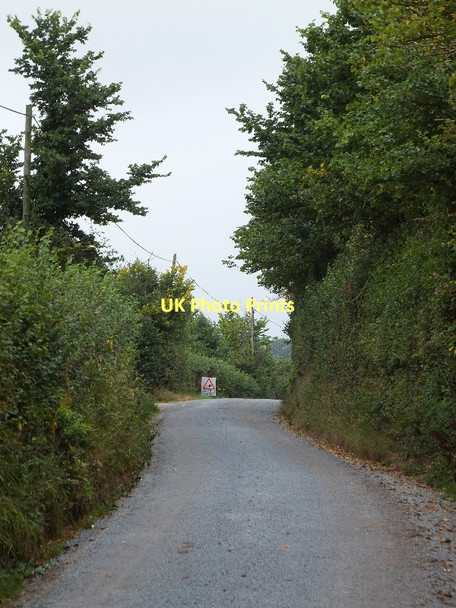 Photo 6"x4" Minor road south of Rill Farm Aylesbeare c2011