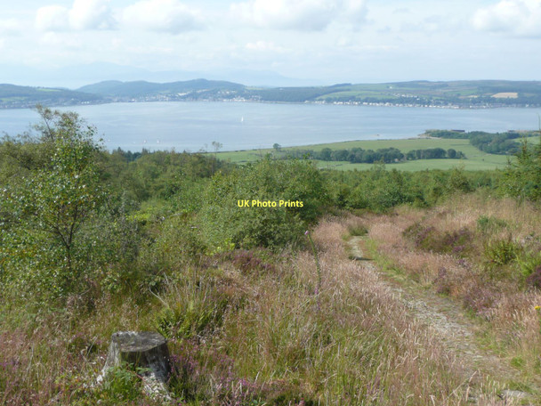 Photo 6"x4" Forest track on Achafour Hill Toward c2011