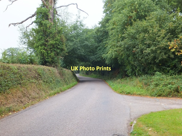 Photo 6"x4" Road passing Farringdon House Farringdon\/SY0191 c2011